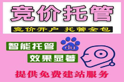 深入了解SEM托管公司的操作技巧与成功案例